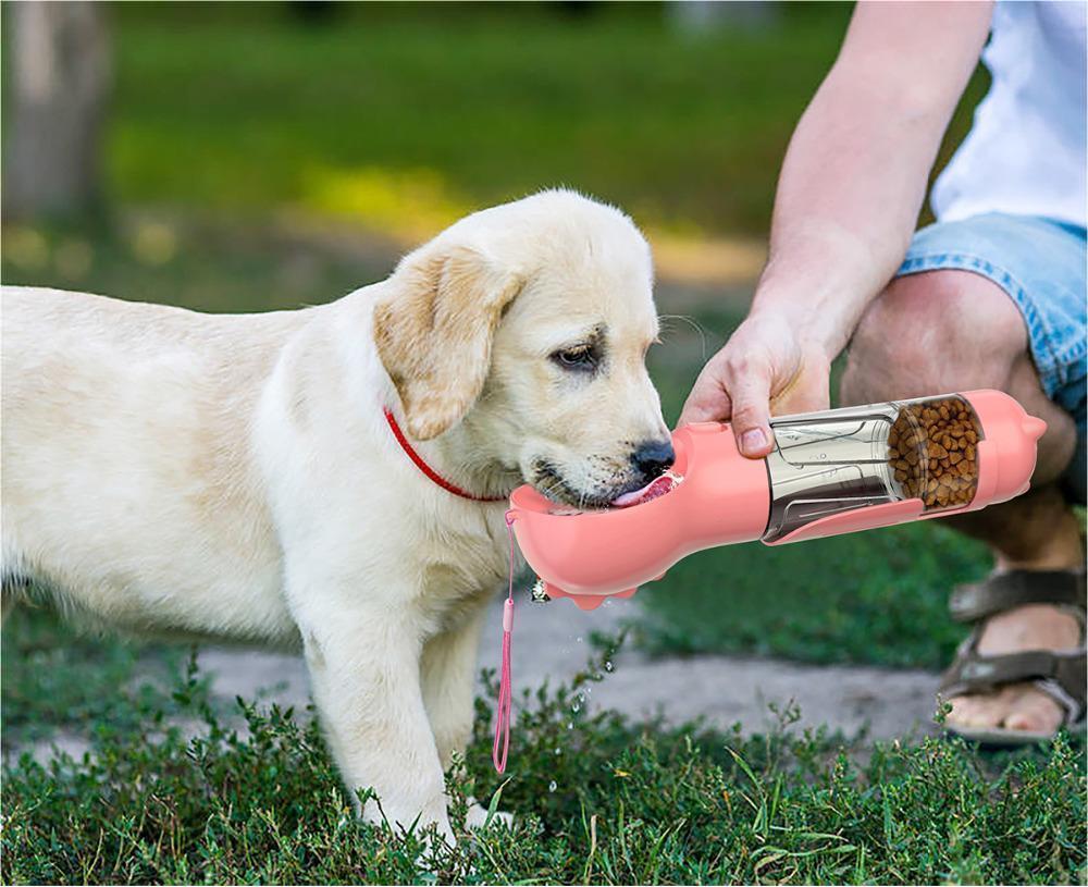 Multifunctional 4 in 1 Pet Bottle